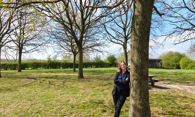 Artikel bomen