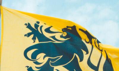 Vlaamse Leeuwen