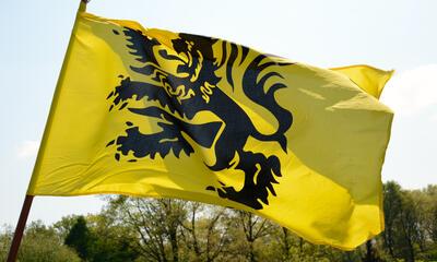 Vlaamse Leeuw