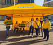 Actie Paasbloemen