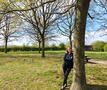 Artikel bomen